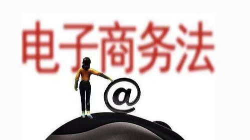 咸魚(yú)賣(mài)家 從個(gè)人閑置到電子商務(wù)經(jīng)營(yíng)者的身份轉(zhuǎn)變